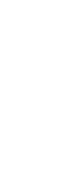 cucaracha_white