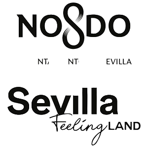 Ayuntamiento Sevilla